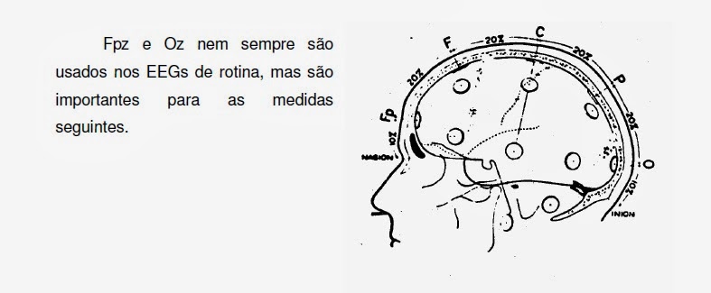 imagem esquemática da lateral da cabeça
