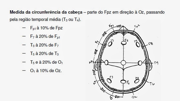 visão do topo da cabeça para eeg