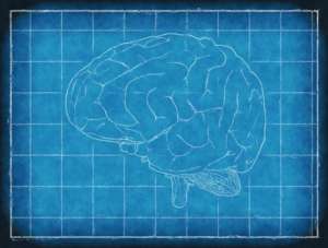 diferença entre AVC e Derrame Cerebral