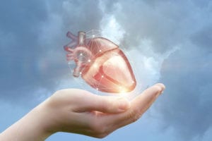 Tipos de exames cardiológicos: 11 exames cardíacos mais realizados