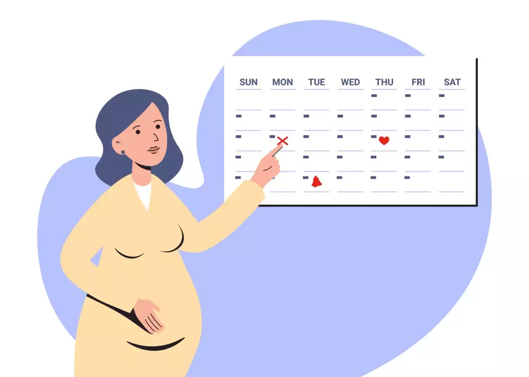Calculadora gestacional: descubra de quantas semanas você está grávida
