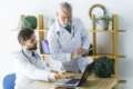 Telemedicina em Cardiologia telecardiologia com laudo ECG