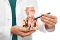Telemedicina em Cardiologia telecardiologia com laudo ECG