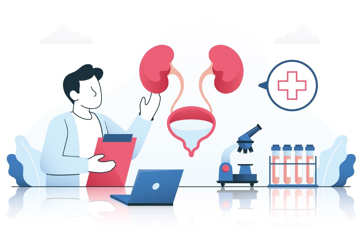 Médico especialista em rins