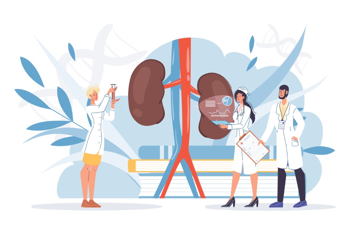 Médico de nefrologia