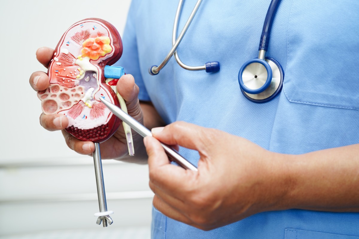 Nefrologista